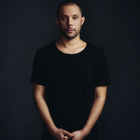 Wildstylez
