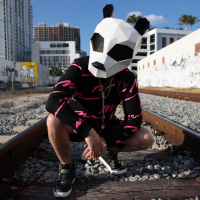 Pink Panda